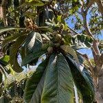 Kathy Munch: Observations