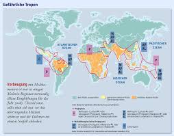 Air temperature controls several parts of the transmission cycle, including the mosquito lifespan and rates of development and biting. Seuchenbekampfung An Der Front Gegen Die Malaria Medizin Ernahrung Faz