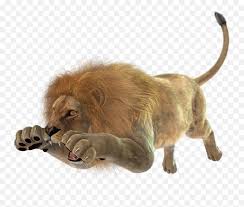 Check spelling or type a new query. Download Images Of Angry Lion Png Lion Jumping Png Full Angry Lion Transparent Background Lion Transparent Free Transparent Png Images Pngaaa Com