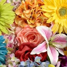 Source high quality products in hundreds of categories wholesale direct from china. Lakeway Wholesale Silk And Supplies Home Facebook