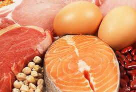 Image result for Protein