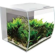 Fluval Flex Akvaryum 34 L Beyaz Fiyati Taksit Secenekleri