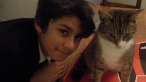 Missing cat Simba found near Colchester Zoo lion house