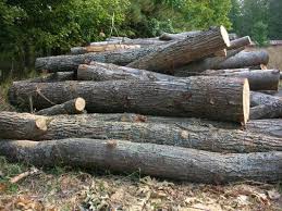 We will cut, cut small, and load your truck or car when you. Buying Cheap Firewood Where To Find It