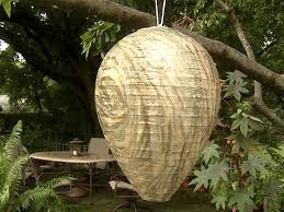 Luckily, you and your swimming pool don't have to suffer. 9 Ways To Keep Wasps And Bees Away From Your Swimming Pool