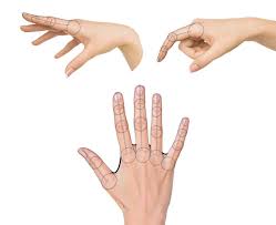 This has nothing to do with the tutorial. How To Draw Anime Hands And Feet