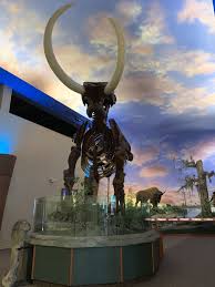 Bishop Museum Of Science And Nature Bradenton The Bishop Museum Of Science And Nature Has Entertained And Educated Everyone From Children To Adults In The Br With Images Science And Nature Nature Museum Science Museum