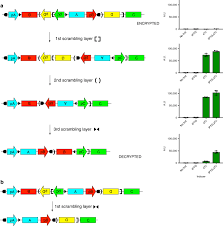 (a.) untouched, especially by anything that harms, defiles, or the like; Encryption And Steganography Of Synthetic Gene Circuits Nature Communications