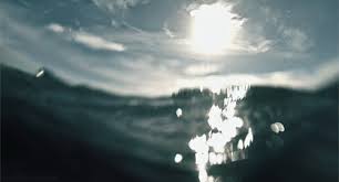 All that is related to nature, you can see on gifs in this rubric. Best Nature Gif S Album On Imgur