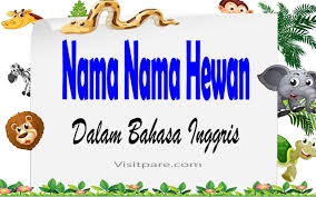 Nama binatang dalam bahasa inggris. Nama Nama Hewan Dalam Bahasa Inggris Beserta Arti Dan Cara Bacanya