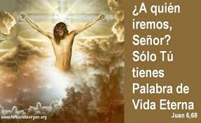 Biblia A Quien Iremos Senor Solo Tu Tienes Palabra De Vida Eterna Juan 6 68 Palabra De Vida Biblia Palabras