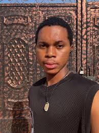 iPhone 16 Pro Ultra Wide Camera (without external lens)