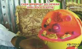 Sebuah sel hewan dapat mengandung satu atau dua sentrosom yang membantu dalam mitosis. Cara Membuat Sel Hewan Dari Bola Plastik Penulis Cilik