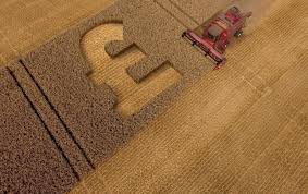 Farmers Guide August 2024 by Farmers Guide - Issuu