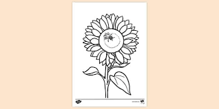 Description simple sunflower is a printable, instant download, free coloring page in pdf format. Free Simple Sunflower Colouring Page Colouring Sheets