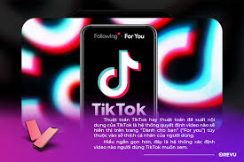 Thuật toán TikTok - 7 tips viral cùng thuật toán 2024