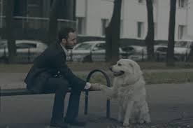 Chicago pet clinic address, phone and customer reviews. Portage Park Animal Hospital Dental Clinic Veterinarian Chicago Norridge Harwood Heights Il
