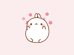 Kiiseu Cute Bunny Gif Bunny Wallpaper Cute Bunny