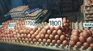 Telur ayam merupakan hasil dari ayam petelur maupun buras yang terjadi karena dibuahi dari pejantan ayam. Harga Telur Ayam Ras Rp 45 Ribu Bak Gopos Id