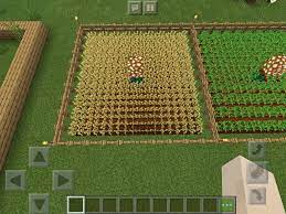 What Is The Optimum Pattern To Place Crops In Minecraft Arqade