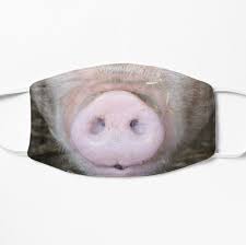 Casualmood Shop Redbubble Funny Pigs Mask Cat Dad