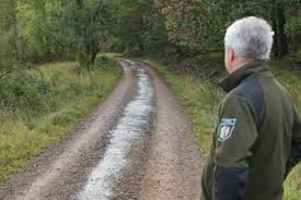 Besonders gut lässt sich der nationalpark bei einer wanderung oder einer rangertour erkunden. Ol Unfall Auf Wanderweg Kohlweg Im Nationalpark Eifel Emz Eifel Mosel Zeitung