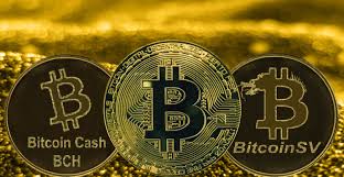 Bitcoin cash.bitcoin cash shares mo Iivnhykelohh6m