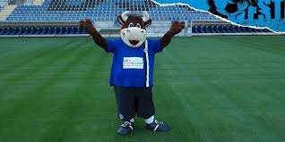 Sports club in bielefeld, germany. Arminia International On Twitter 9 Our Mascot Is A Bull Called Lohmann It Shares Its Name With Farmer Lohmann Who Once Leased The Terrain To Arminia Bielefeld Where We Nowadays Hold Our