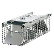 Havahart Small 2 Door Professional Live Animal Cage Trap For Rat Squirrel Chipmunk And Weasel 1025 The Home Depot Animal Traps Small Pets Pet Cage