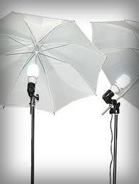 Fancierstudio 3 Point Umbrella Lighting Kit Sunnysidehanne
