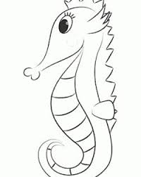 Deniz Yyldyzy Boyama Sayfasy