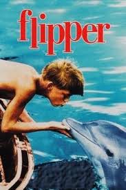 Flipper A Catalyst To Dolphin Slaughterings Childhood Tv Shows Old Tv Shows Childhood Memories