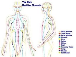 Meridians Traditional Chinese Medicine Tcm Asserts That