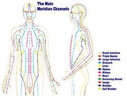 meridians traditional chinese medicine tcm asserts that