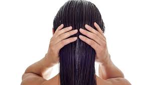 ayurveda for hair growth 5 foods and