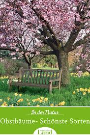 Obstbaume Die Schonsten Sorten Baume Garten Obst Garten