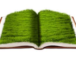 Open Book With Green Grass Png Background Image Free Background Images Green Grass Green