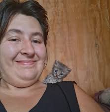 What to do with newborn kittens without a mother in Southern Oregon?