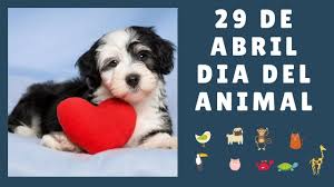 El día del animal se celebra en la argentina todos los 29 de abril en conmemoración del fallecimiento de ignacio lucas albarracín, un abogado que fue el gran albarracín nació en córdoba capital el 31 de julio de 1850 y tras obtener su título de grado, decidió dedicar su vida a la defensa de los animales. 29 De Abril Dia Del Animal En Argentina Animal Day Diadelanimal Youtube