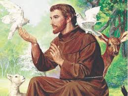 Francis prayer for animals that are sick, lost, or dead Prayer Of Peace By St Francis Of Assisi Catholic For Life