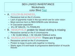 Sex Determination Worksheet Ppt Download