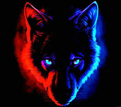 More images for wolf wallpaper » Blue And Red Wolf Wallpapers Wolf Wallpapers Pro Wolf With Blue Eyes Red Wolf Wolf Colors