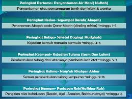 Peran islam dalam kehidupan manusia ~ situs informasi dan pengetahuan. Proses Kejadian Manusia