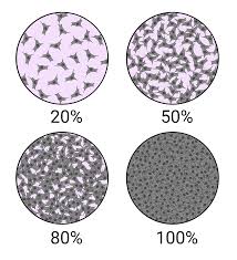 Use the starter culture to isolate single colonies on a streak plate of a rich medium such as lb agar [10 g if desired, the drop can be spread using the pipet tip or a glass rod. Cell Culture Basics Equipment Fundamentals And Protocols Technology Networks