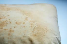 According to a survey, the most commonly infested places are the mattress (98.2%), boxspring. Bed Bugs In Kansas City How Do I Check Myself For Bed Bugs Milberger Pest Control