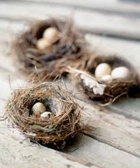 Birds That Lay Eggs On The Ground Co Pachnie W Gniezdzie Bird Nest Hope Is The Thing With Feathers Bird Eggs