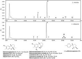 Image result for Tristicha