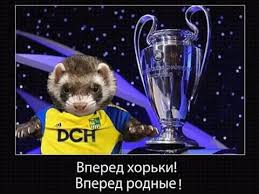 Домашний стадион — оск «металлист». Fk Metallist 1925 Home Facebook