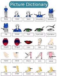 Vocabulary exercises to help learn words for parts of the body. Esl Body Parts Vocabulary By Tpete S Supply Store Tpt
