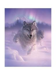 The most common type of wolf is the gray wolf, or timber wolf. Running Wolves Northern Lights Art Print Collin Bogle Art Com In 2021 Wolf Running Wolf Spirit Animal Wolf Painting